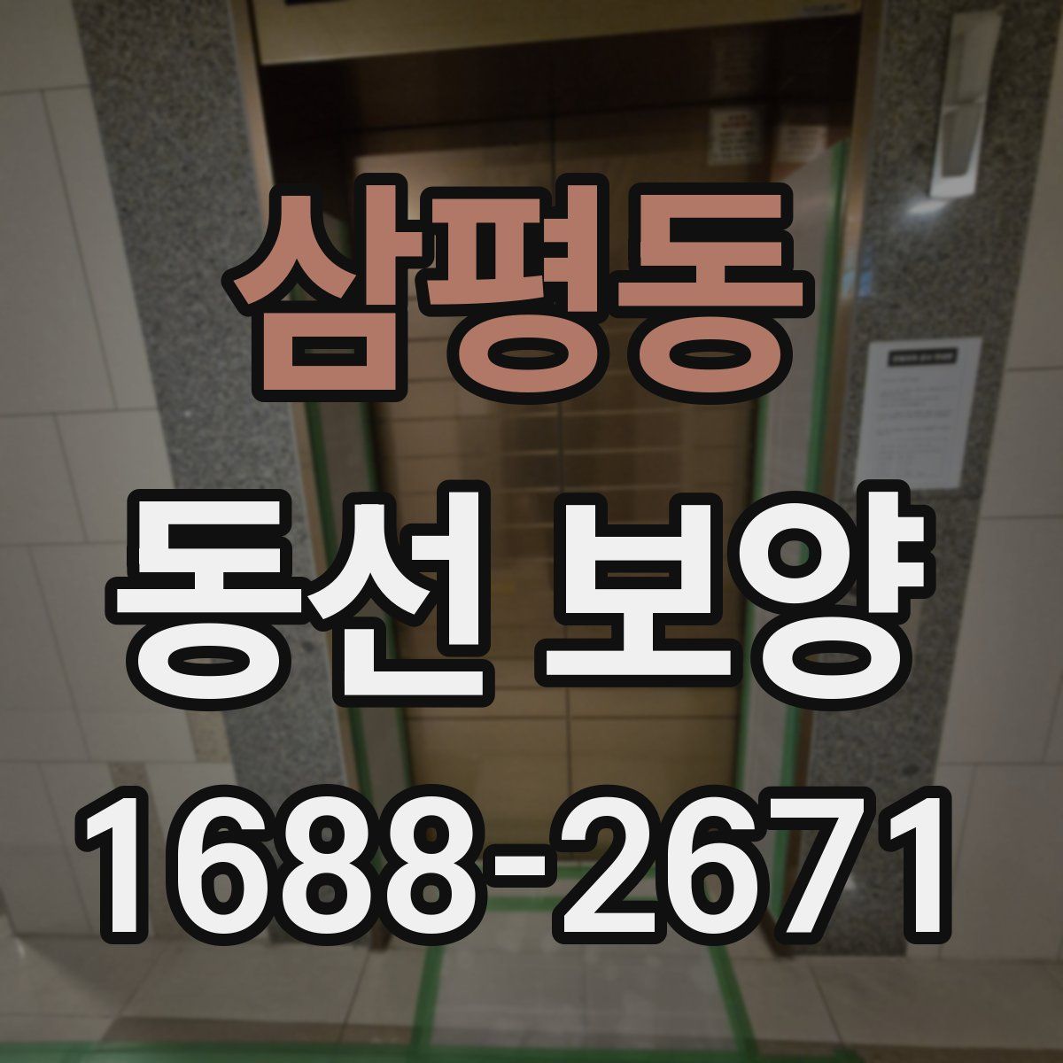 삼평동 동선 보양