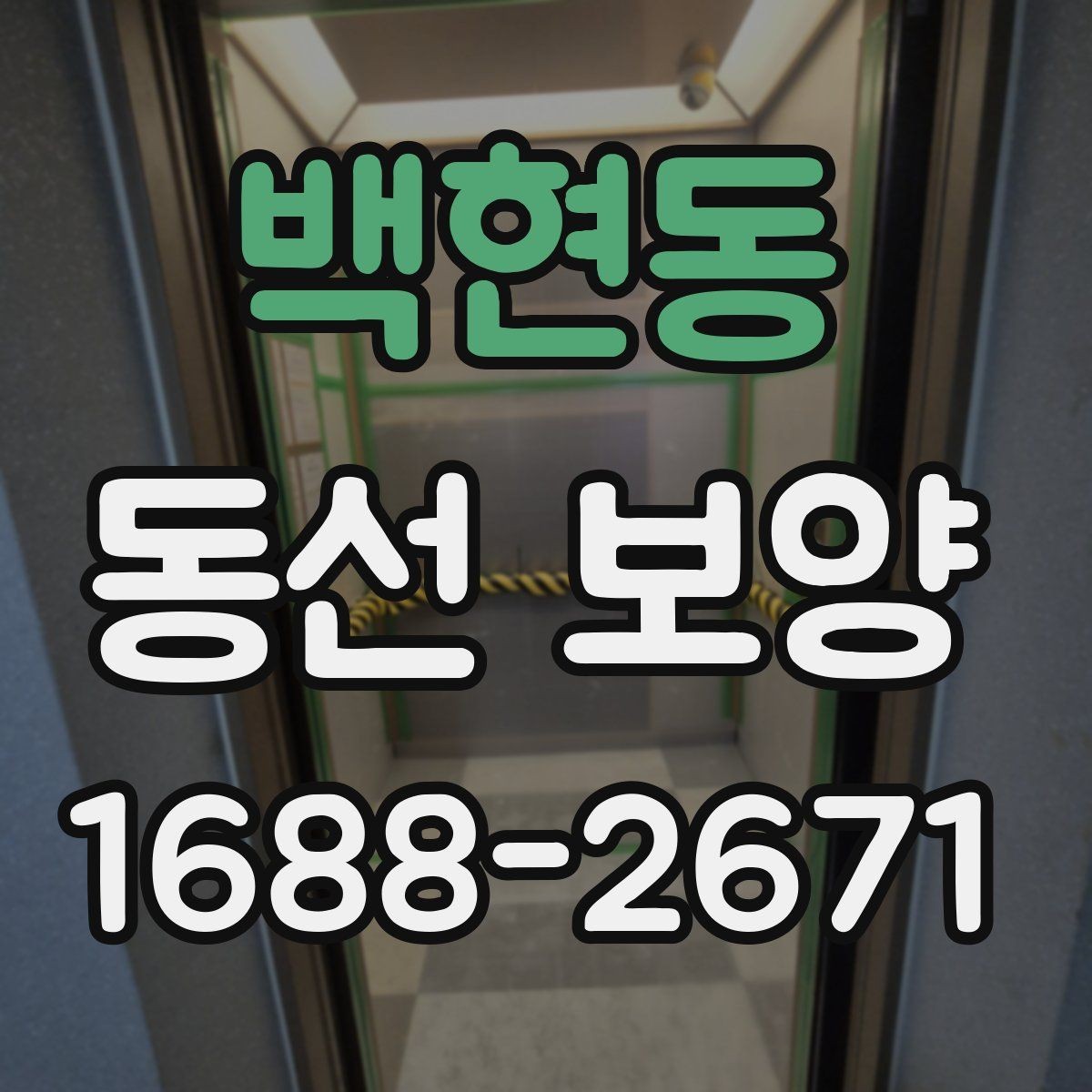 백현동 동선 보양 자재를 고를 때 보는 핵심 항목