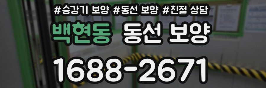 백현동 동선 보양