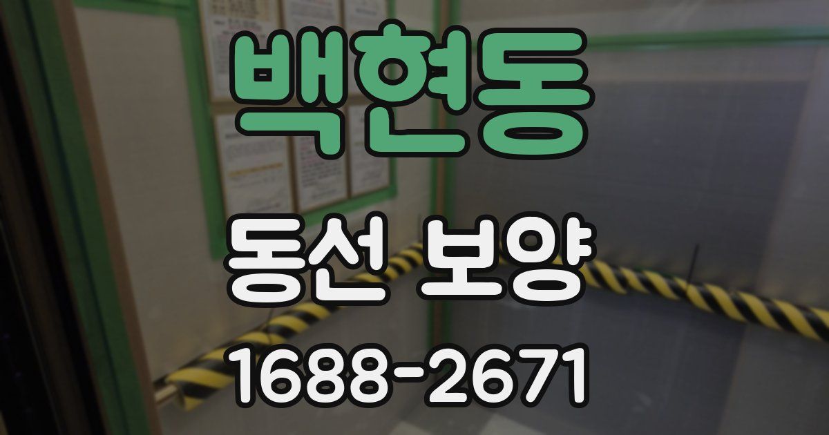 백현동 동선 보양