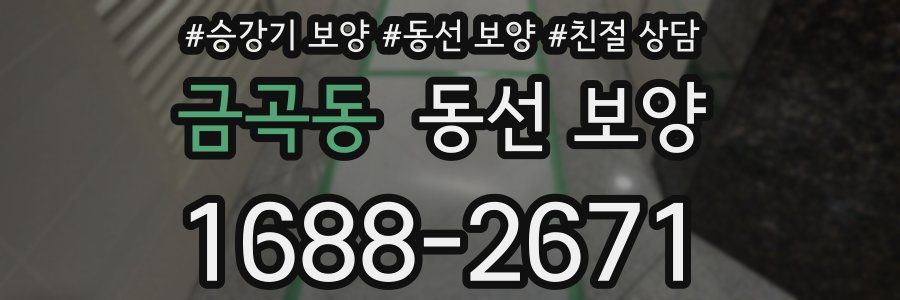 금곡동 동선 보양