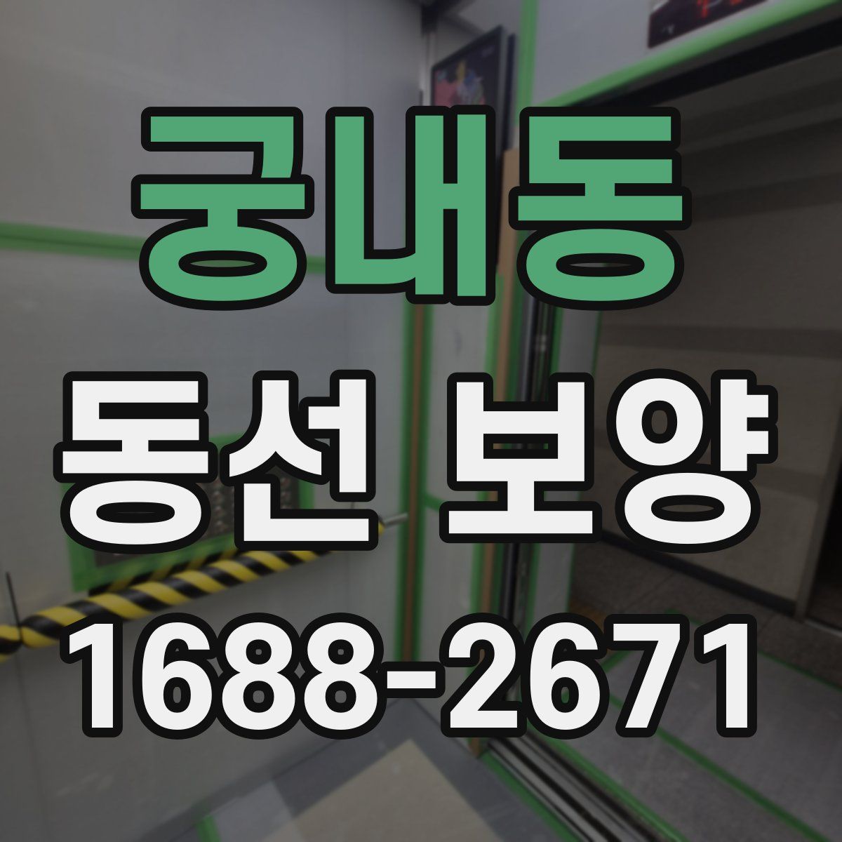 궁내동 동선 보양