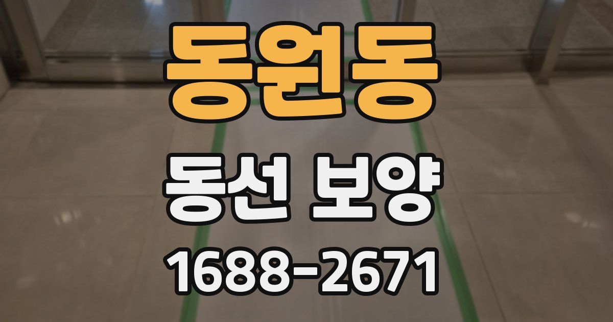 동원동 동선 보양