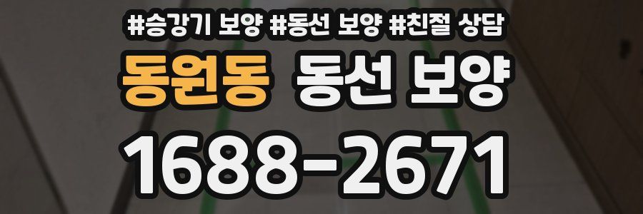 동원동 동선 보양
