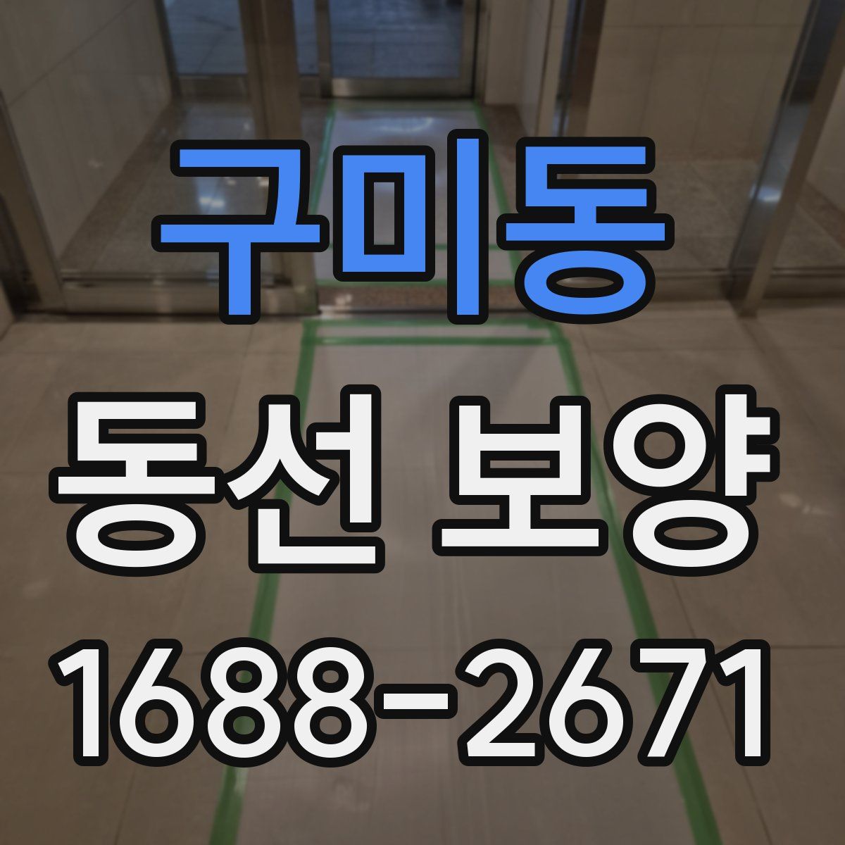 구미동 동선 보양