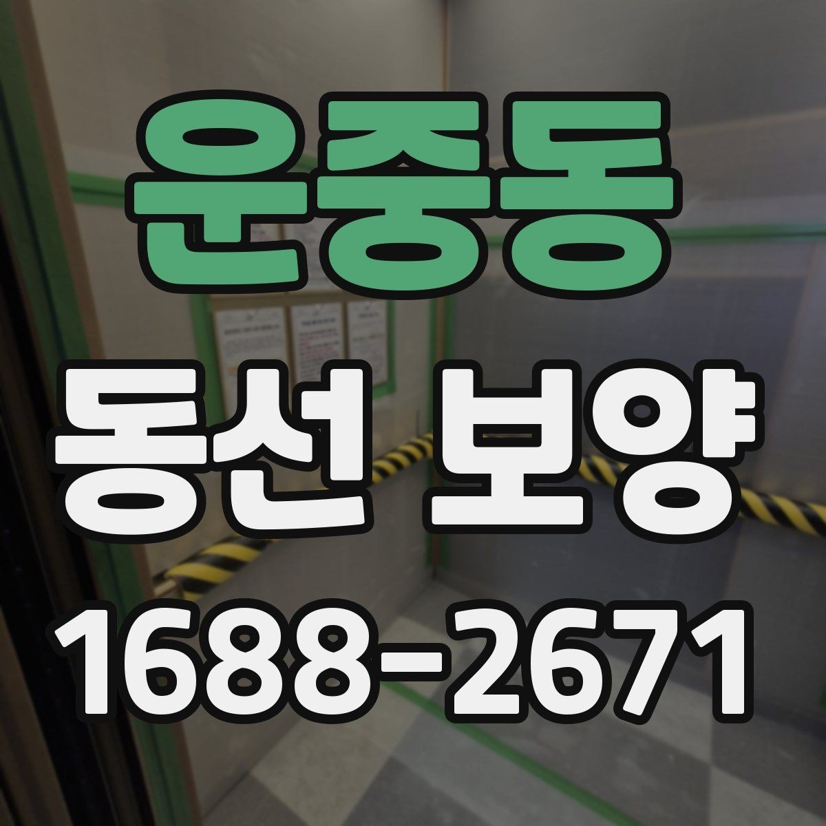 운중동 동선 보양 적용 사례를 통해 보는 차이