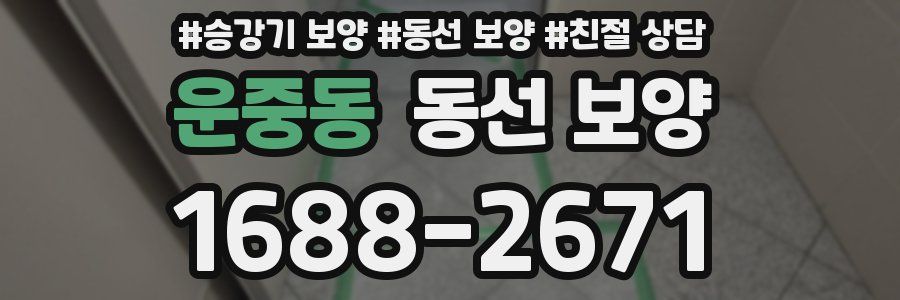 운중동 동선 보양