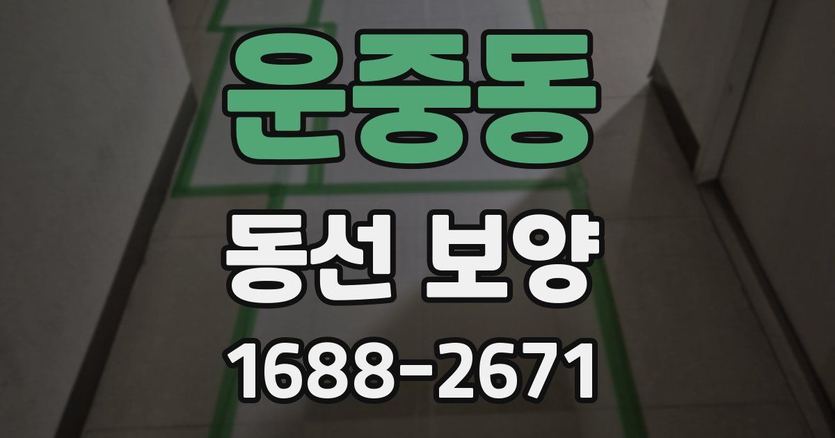운중동 동선 보양