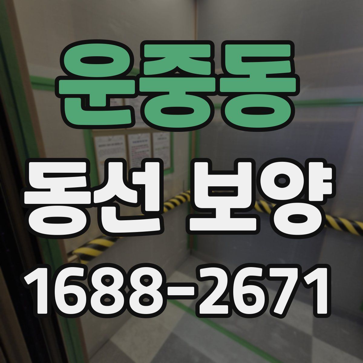 운중동 동선 보양