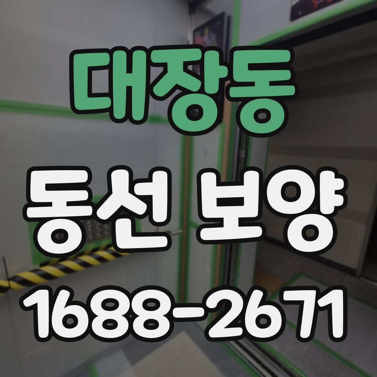 대장동 동선 보양