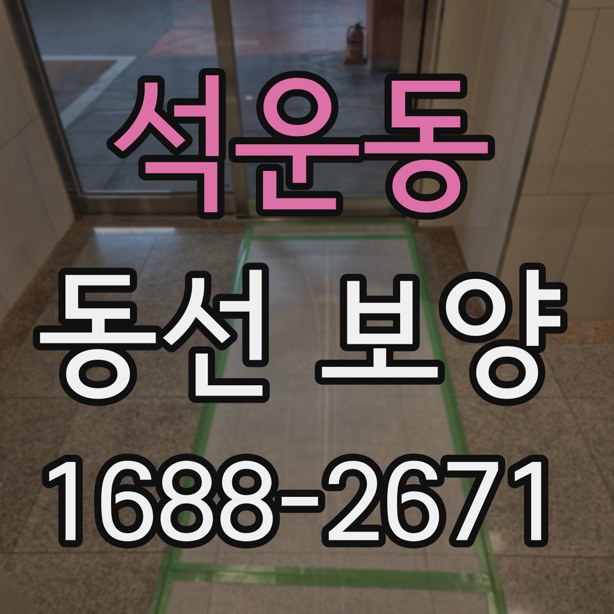 석운동 동선 보양