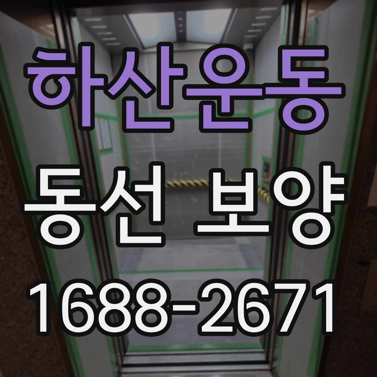 하산운동 동선 보양