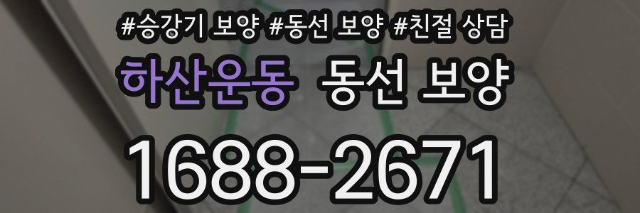 하산운동 동선 보양