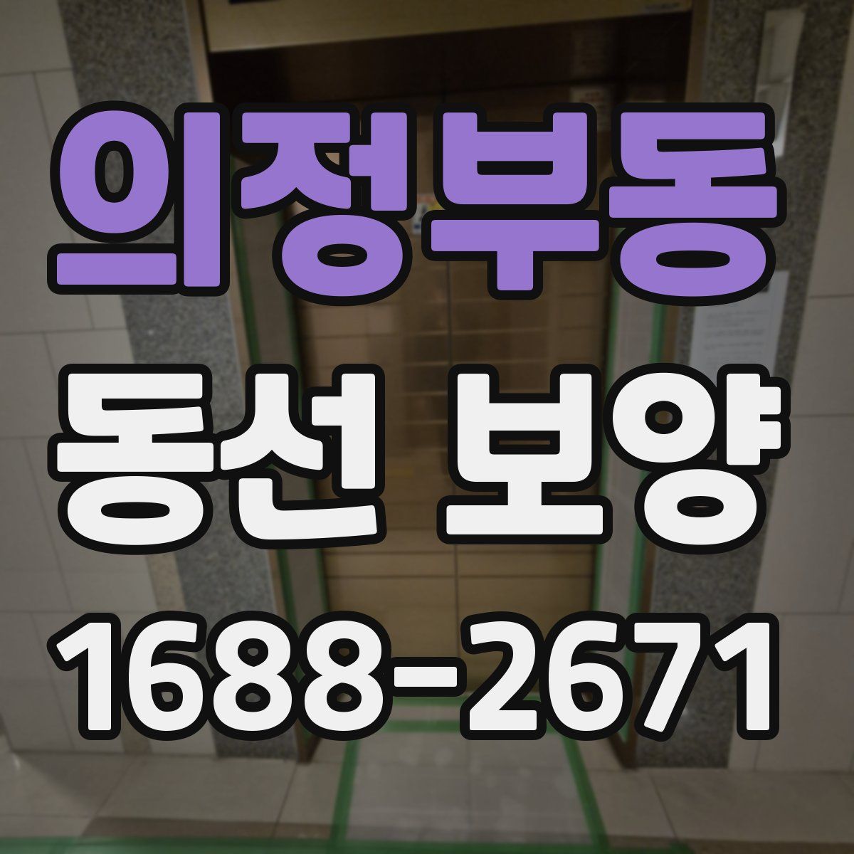 의정부동 동선 보양