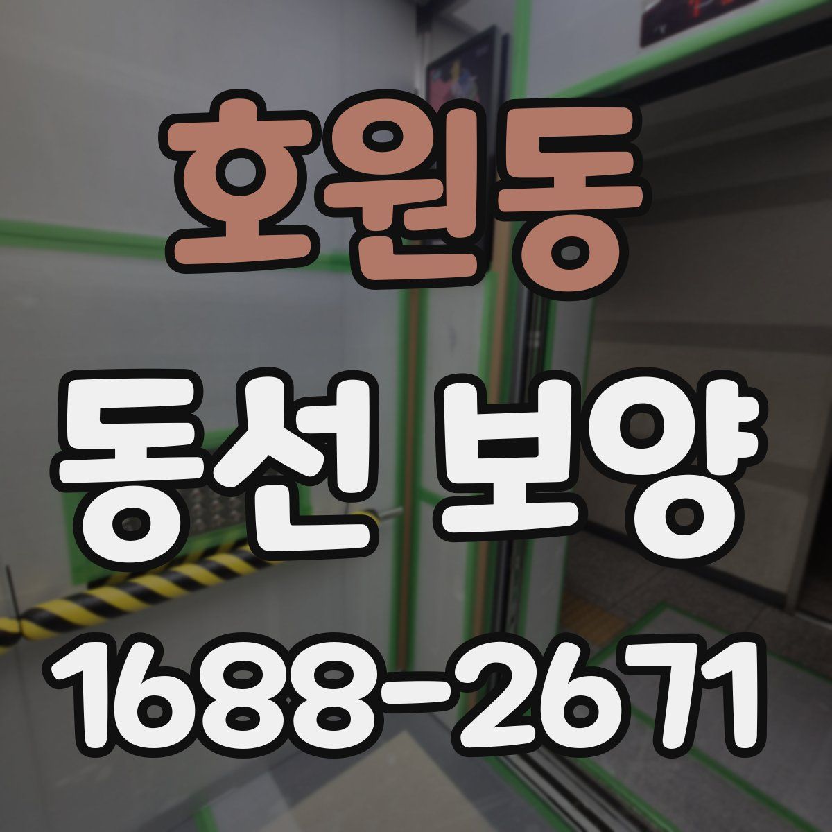 호원동 동선 보양