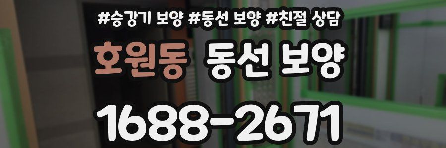 호원동 동선 보양