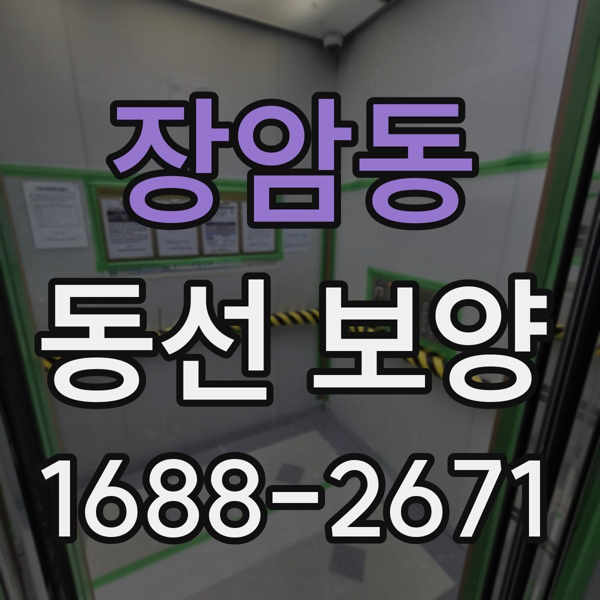 장암동 동선 보양