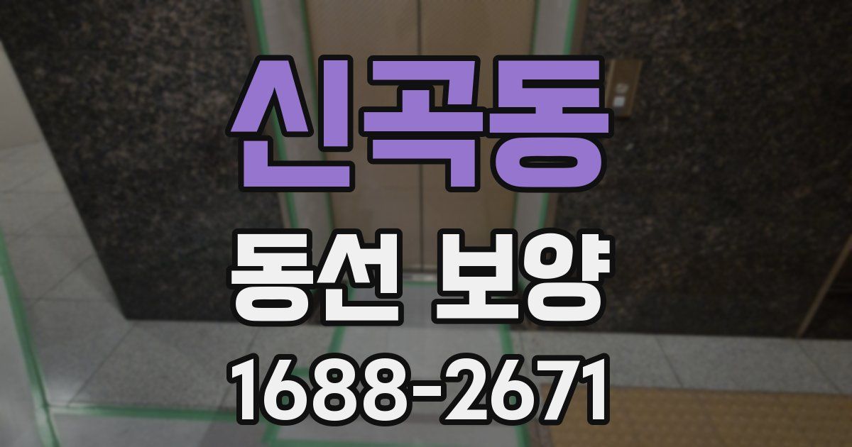 신곡동 동선 보양