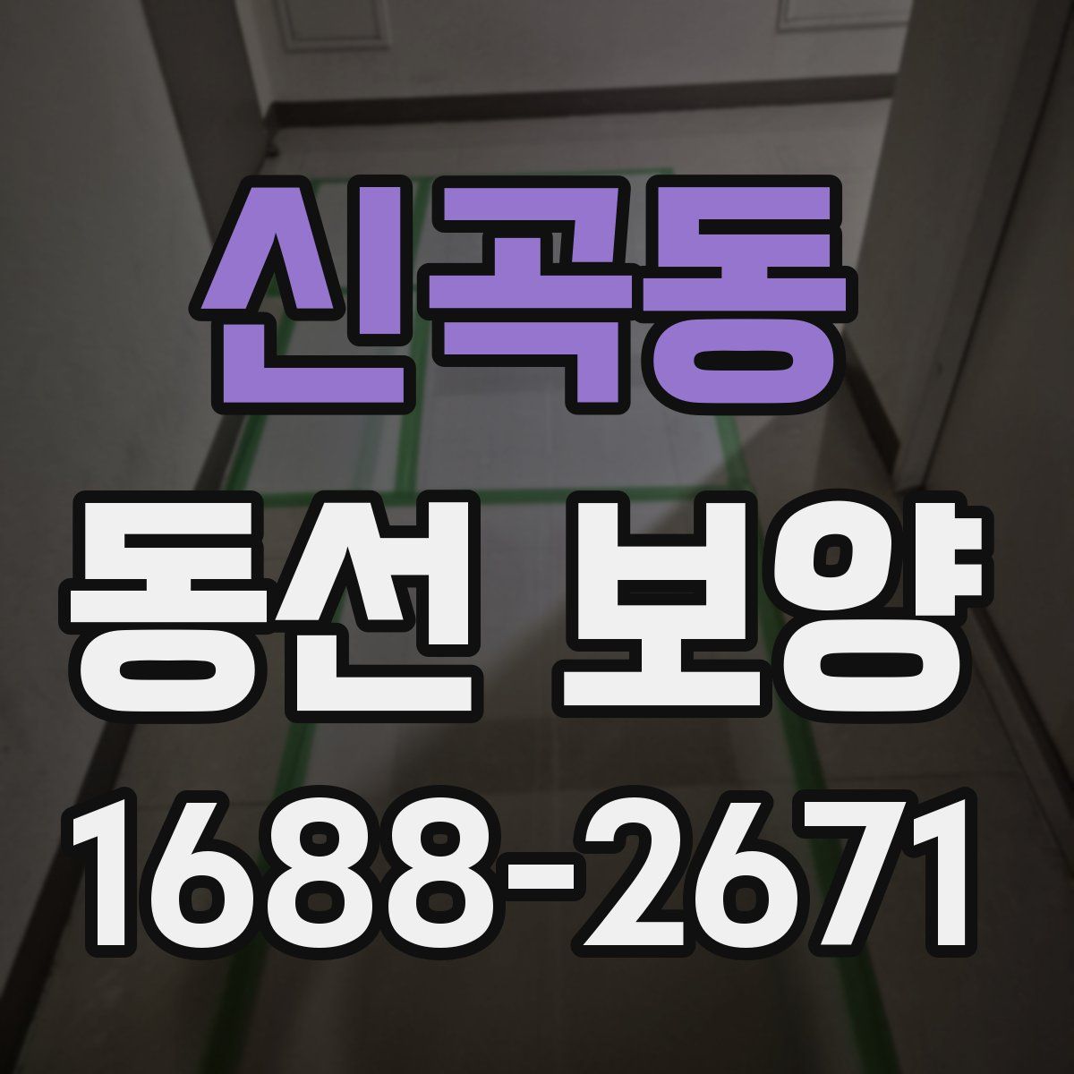 신곡동 동선 보양