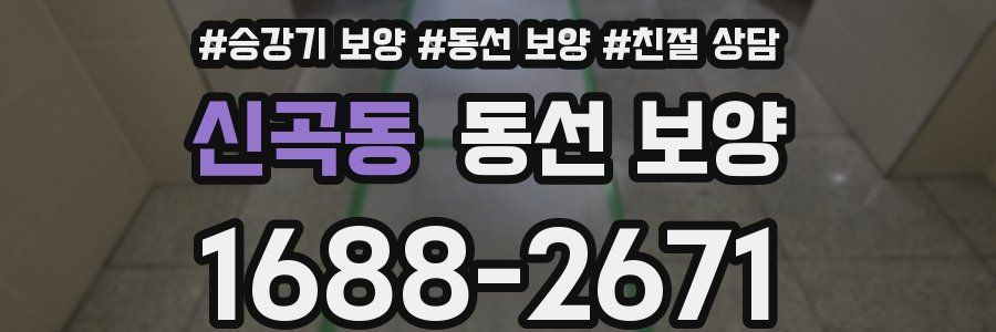 신곡동 동선 보양