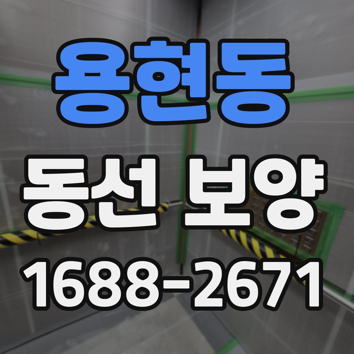 용현동 동선 보양