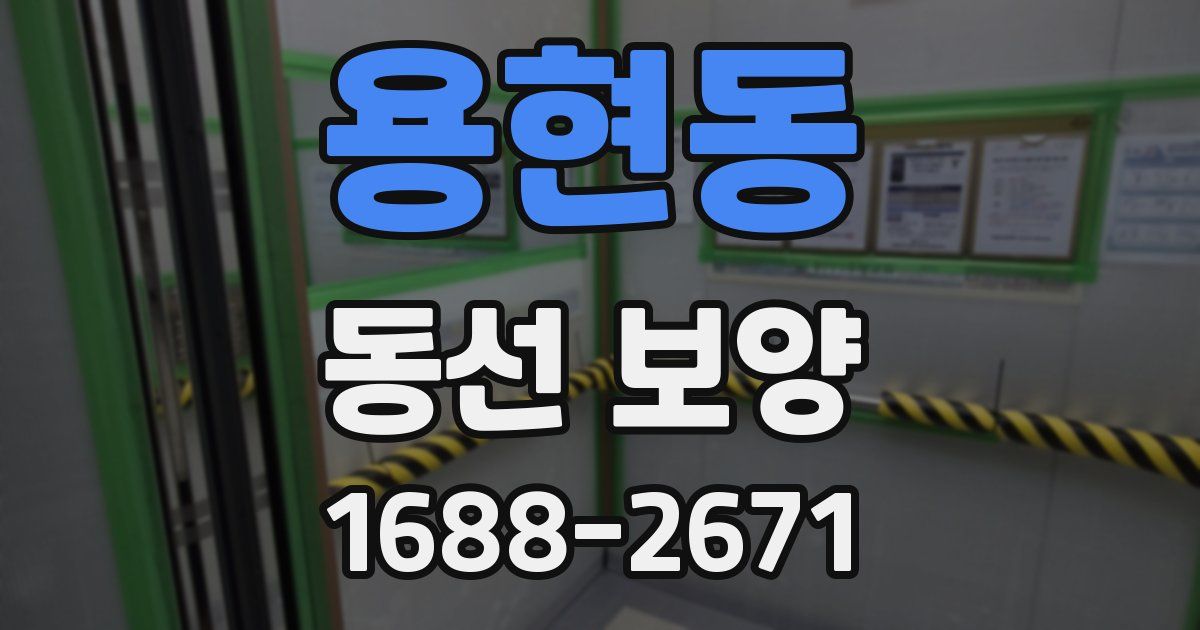 용현동 동선 보양