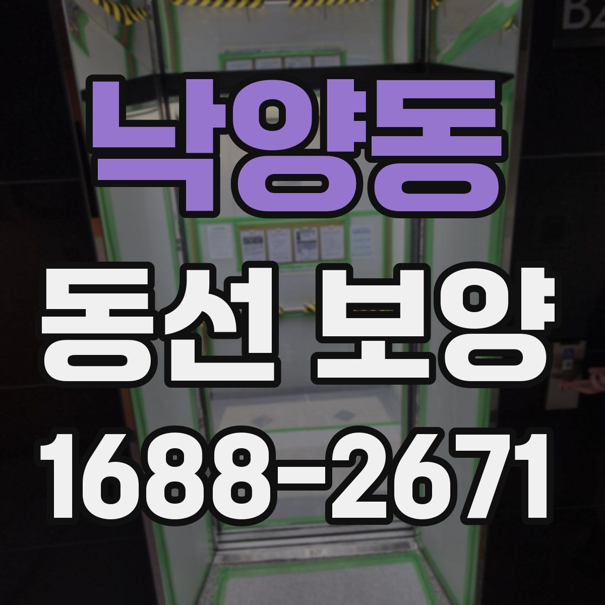 낙양동 동선 보양