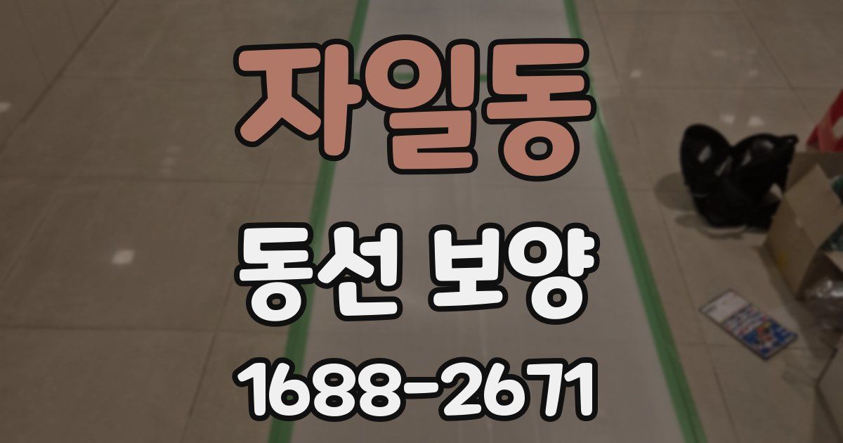 자일동 동선 보양
