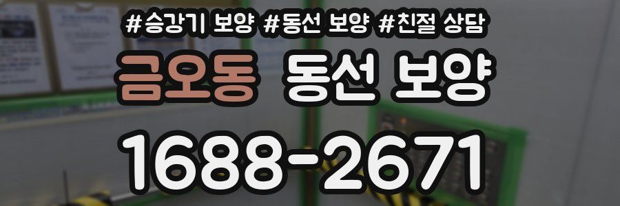 금오동 동선 보양