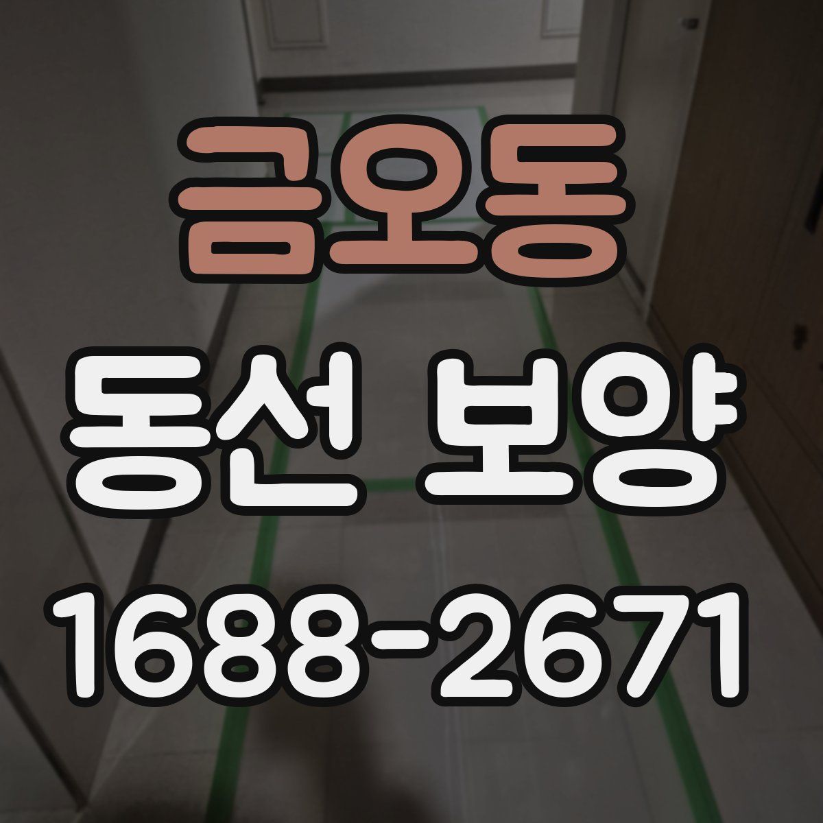 금오동 동선 보양
