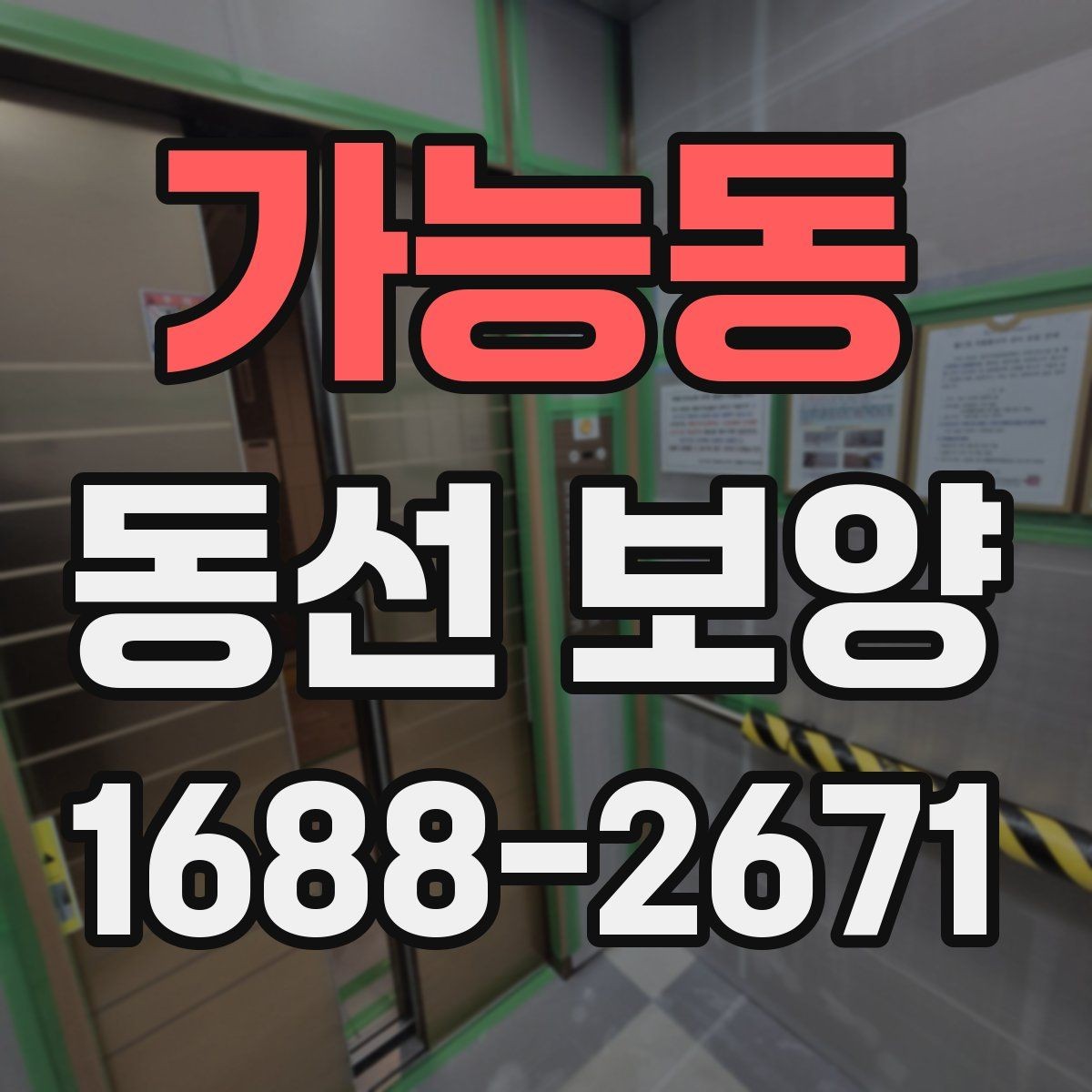 가능동 동선 보양 업체 선정 시 확인할 실무 포인트