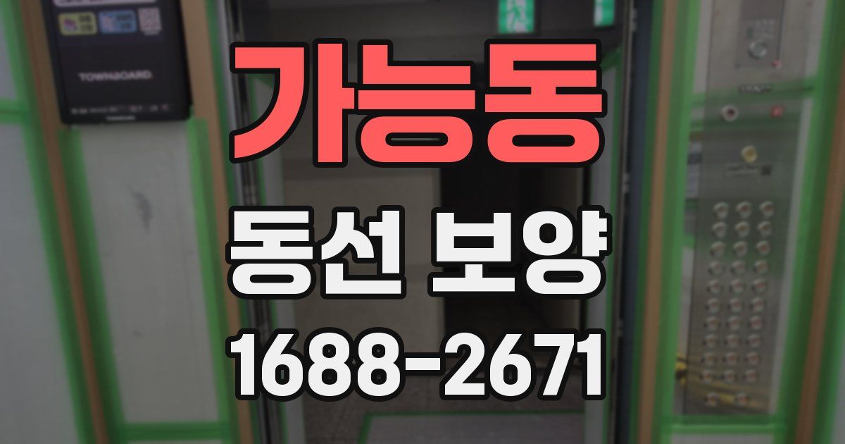 가능동 동선 보양