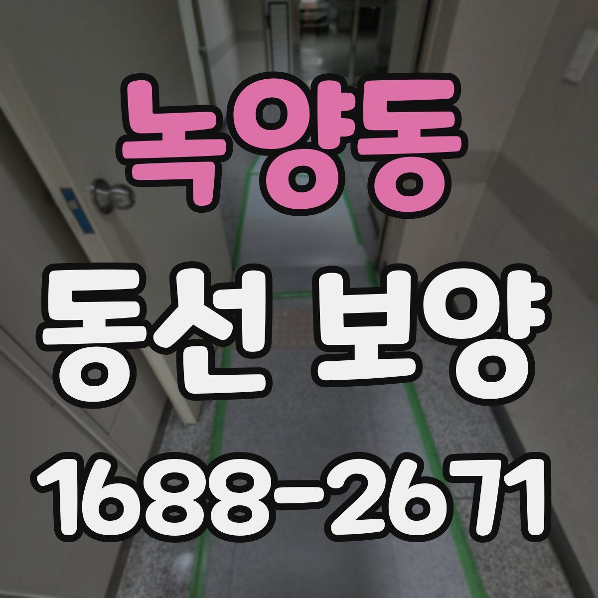 녹양동 동선 보양