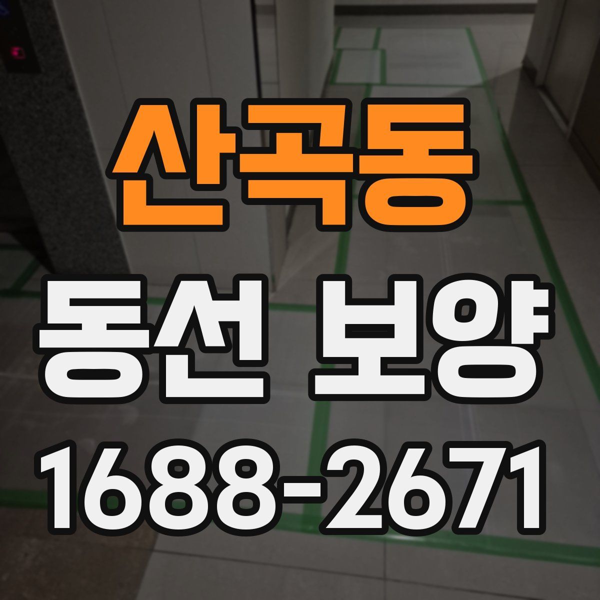 산곡동 동선 보양