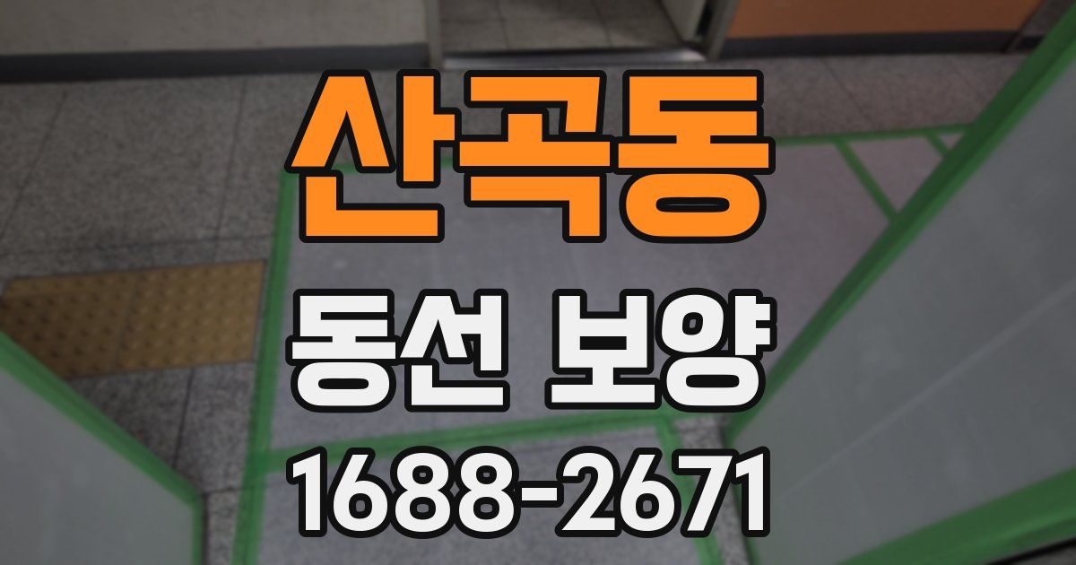 산곡동 동선 보양