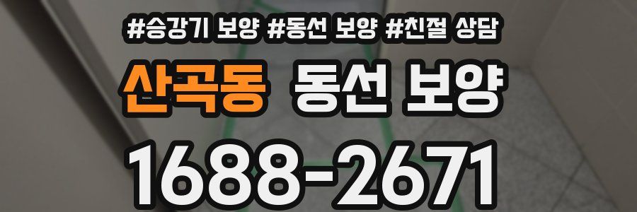 산곡동 동선 보양