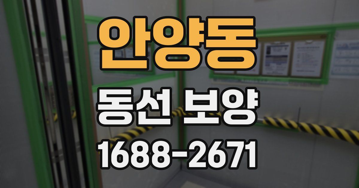 안양동 동선 보양