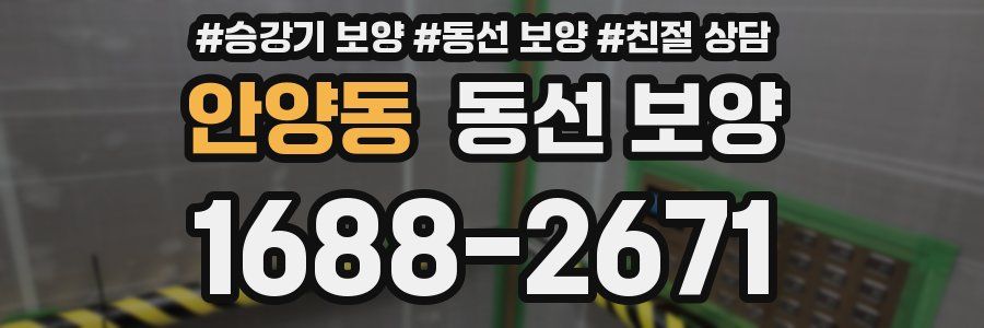 안양동 동선 보양