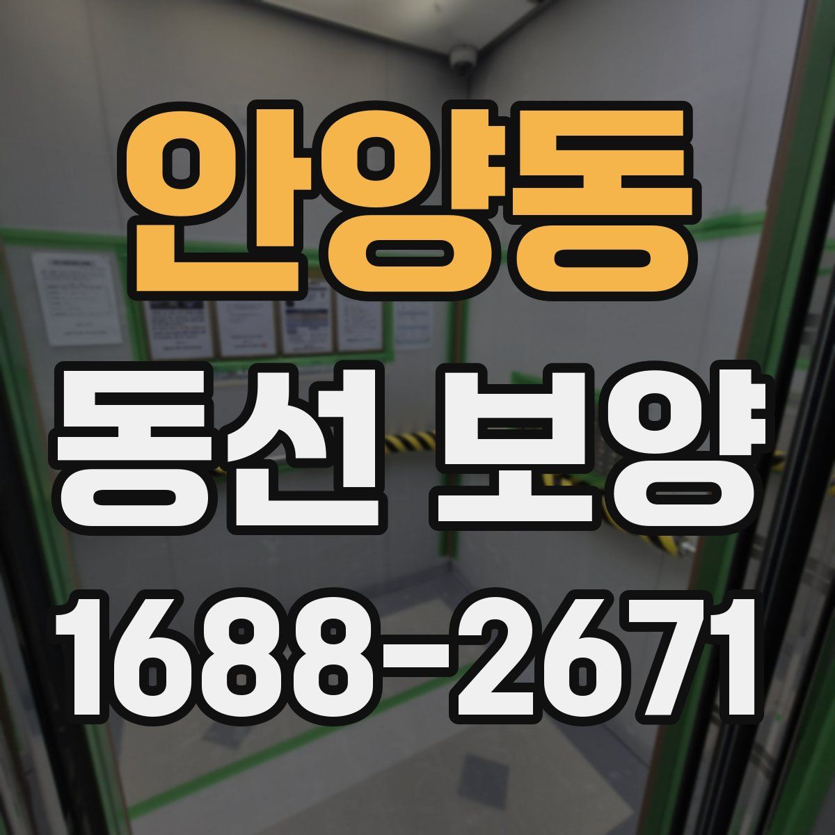 안양동 동선 보양