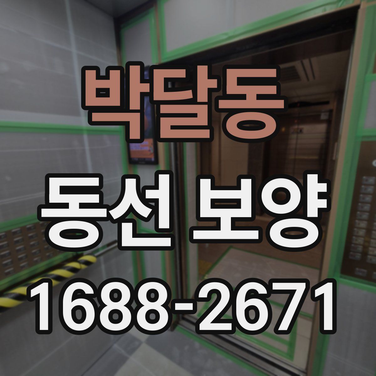 박달동 동선 보양