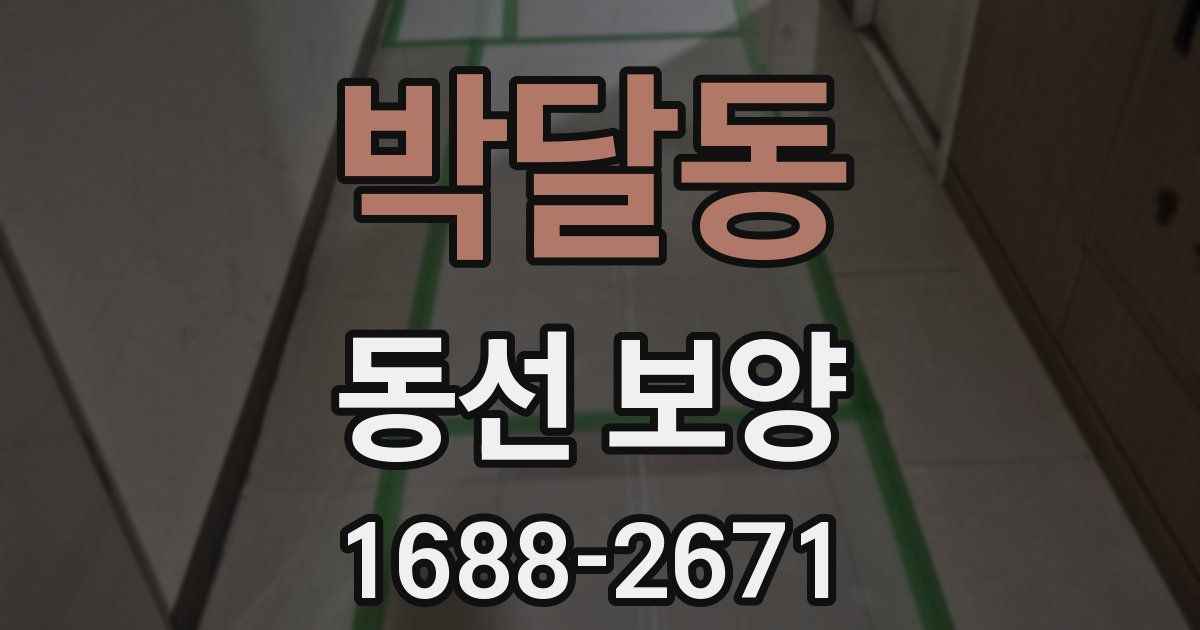 박달동 동선 보양