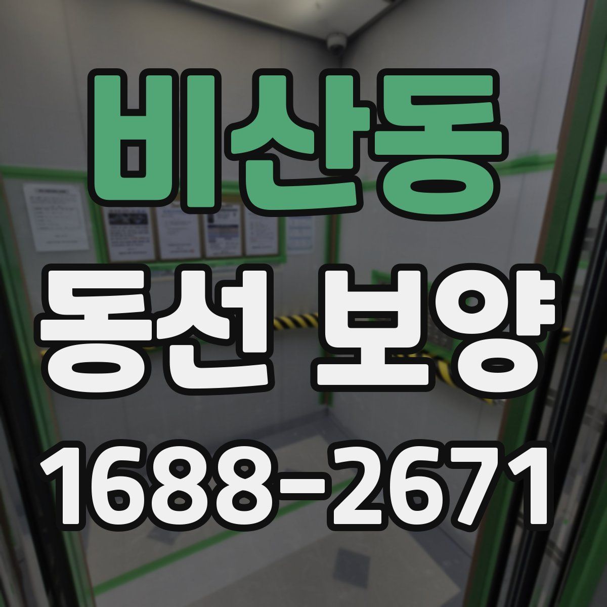 비산동 동선 보양