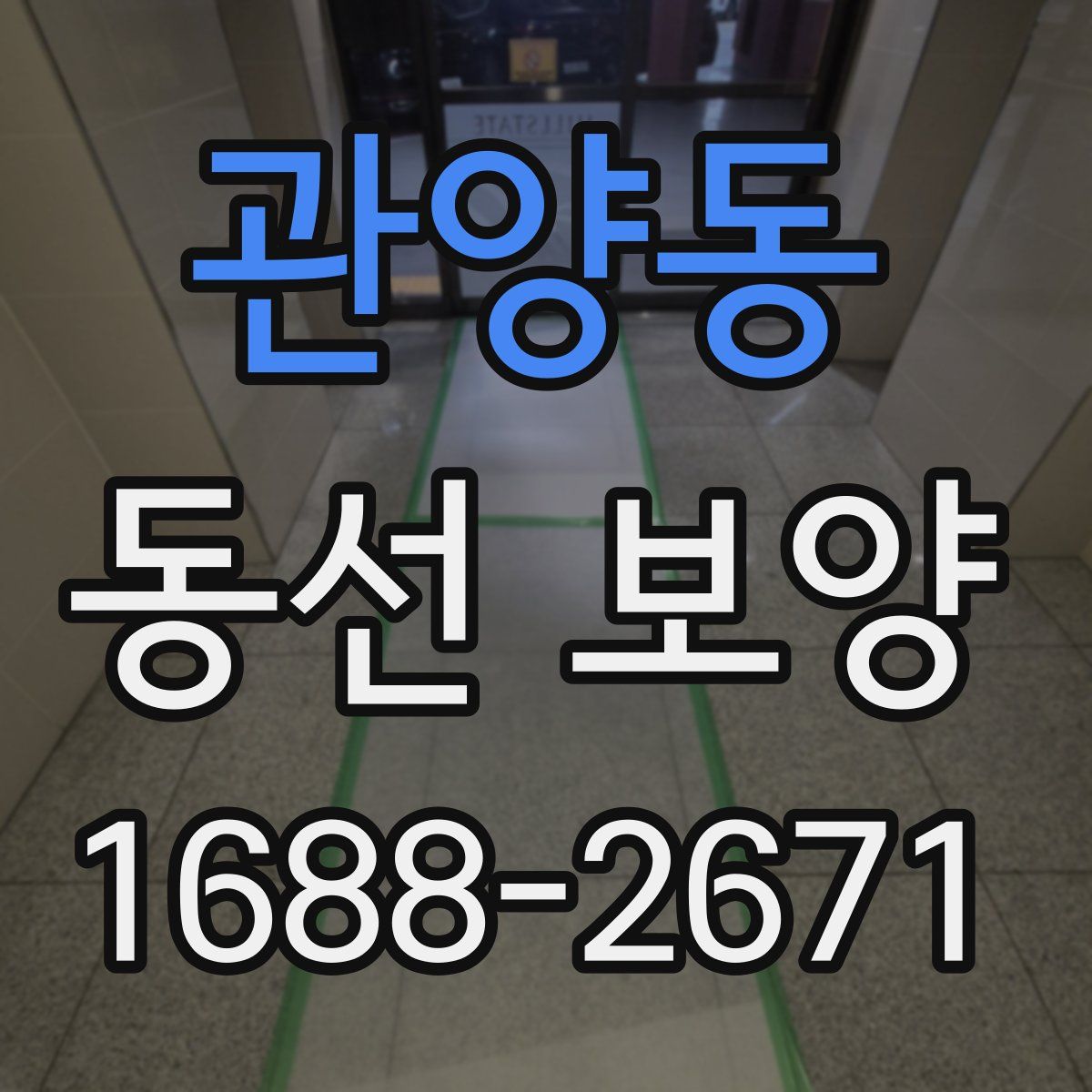 관양동 동선 보양