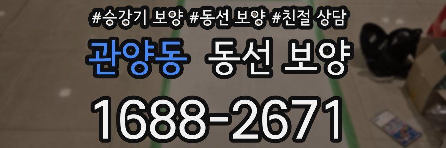 관양동 동선 보양