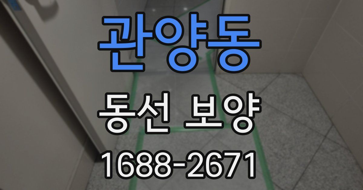 관양동 동선 보양