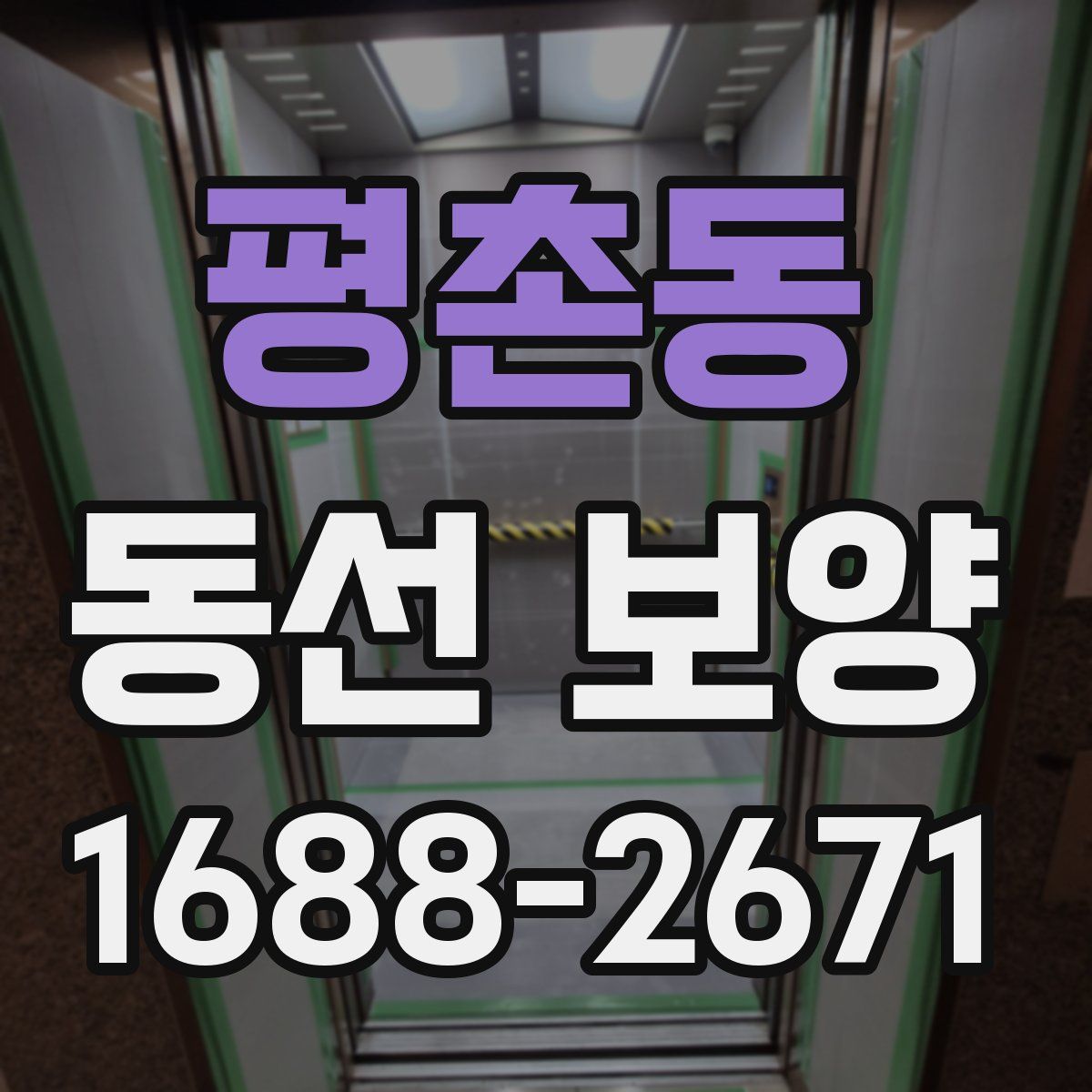 평촌동 동선 보양