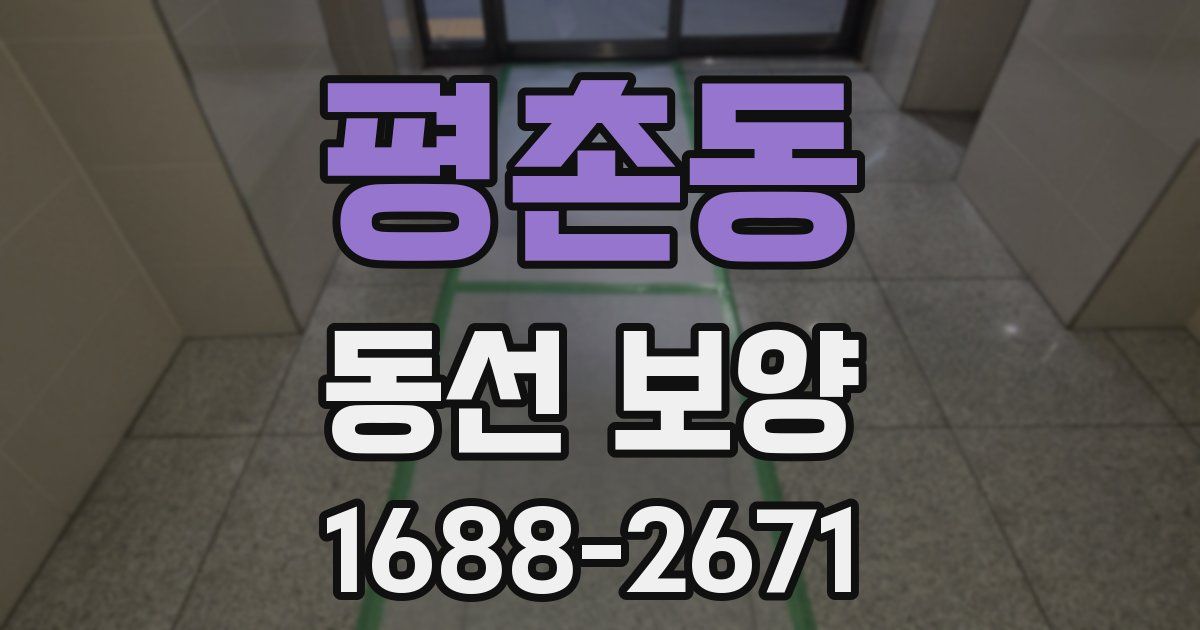 평촌동 동선 보양