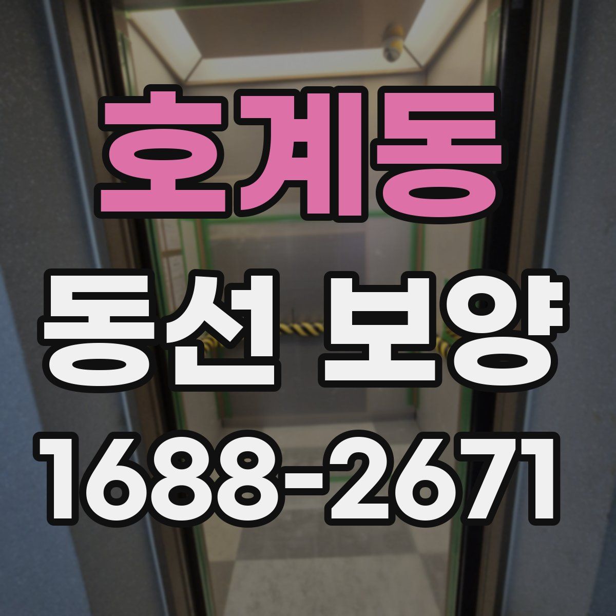 호계동 동선 보양