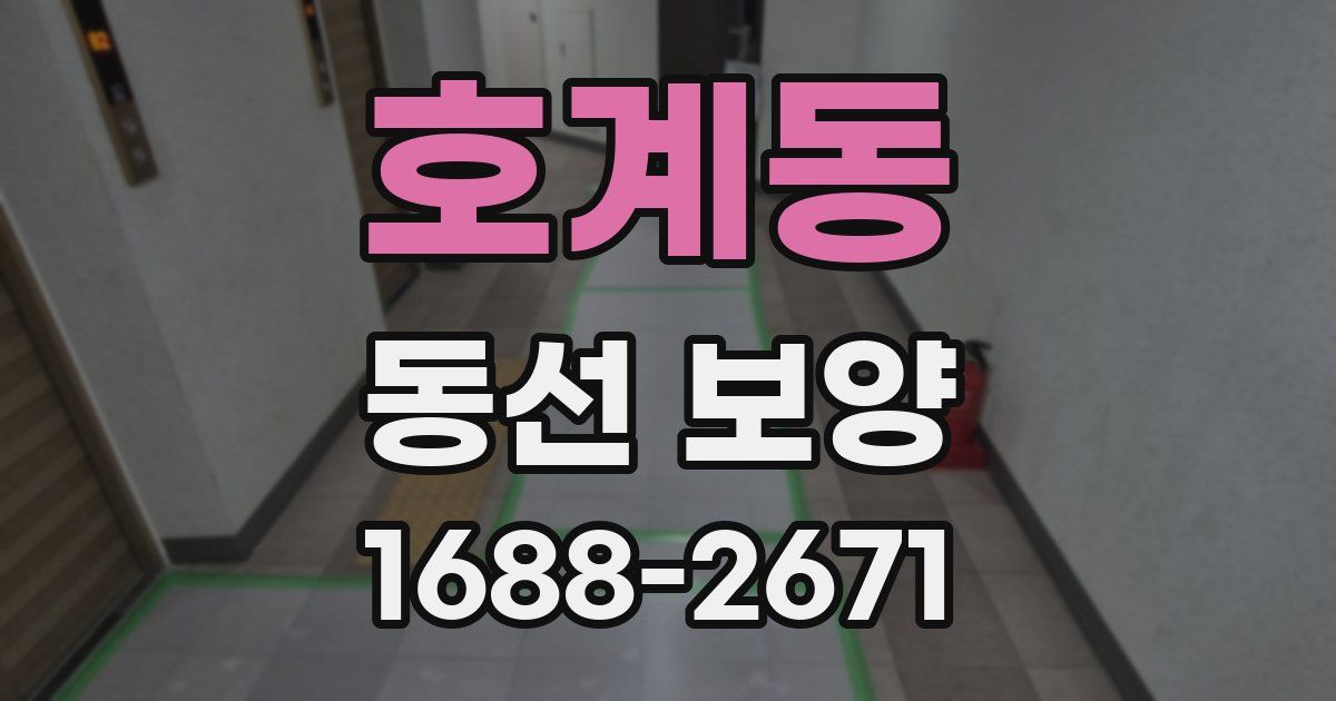 호계동 동선 보양