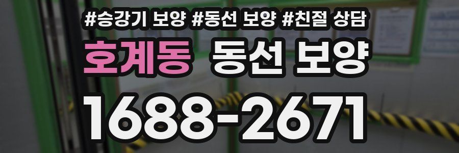 호계동 동선 보양